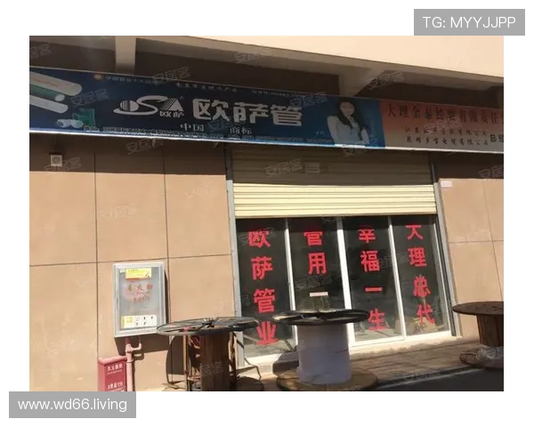 五洲国际商贸城：打造全球领先的商贸交流平台